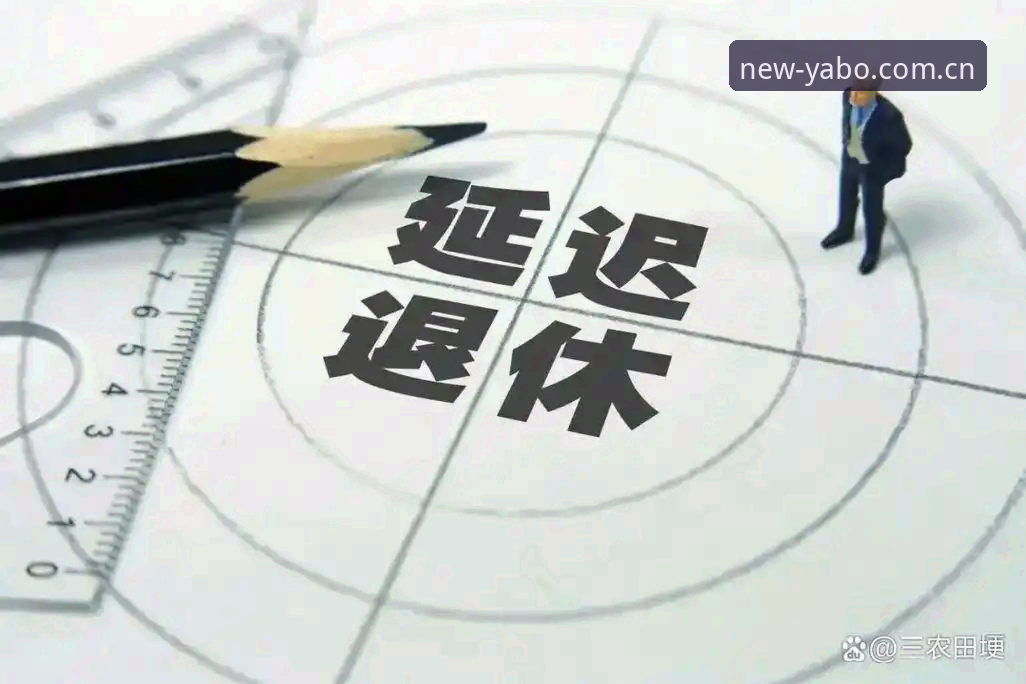 资深用户实测:雅博体育手机安装最新版2026实战经验与行业趋势解读